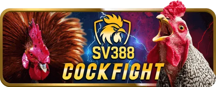 Hình ảnh máy chủ bảo mật cao của i9bet151 code với các lớp bảo vệ chống xâm nhập